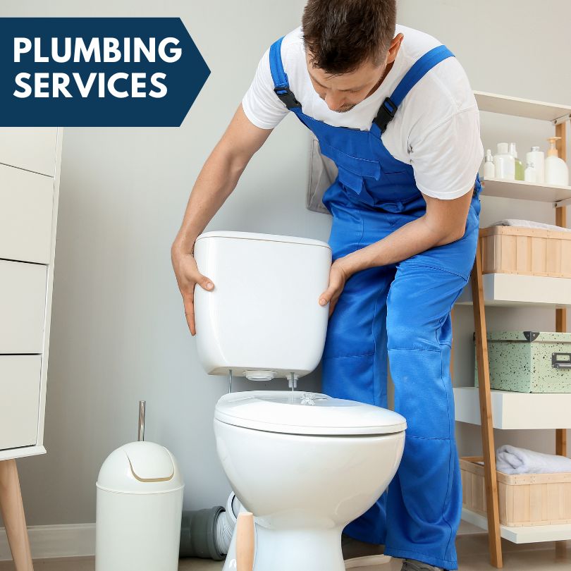 Plumbing Company in Potomac, IL